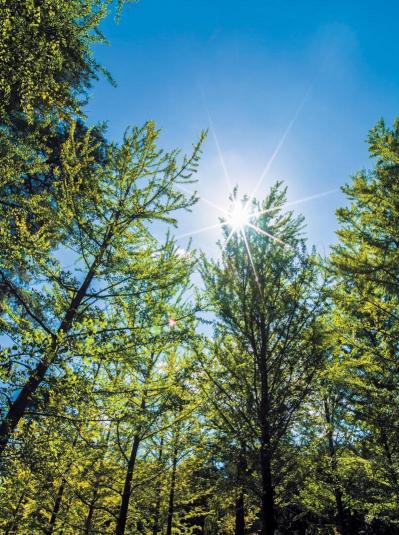 「10年前に夫に先立たれ、ひとり暮らし。飼い猫も他界し、この先どうすれば…」シニア世代の孤独感との向き合い方とは？ 人気心理カウンセラー・根本裕幸さんが回答（サムネイル画像4）