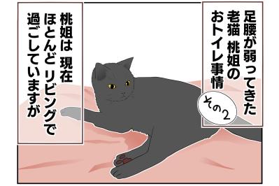 【老猫マンガ】老猫のトイレ事情その2…18歳の元保護猫・桃姐［＃14］