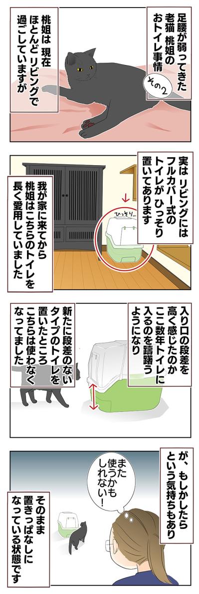 【老猫マンガ】老猫のトイレ事情その2…18歳の元保護猫・桃姐［＃14］（サムネイル画像2）