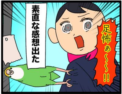 【鳥マンガ＃14】床に対して平行になるインコ／お返事ができる賢いゴルちゃん！（サムネイル画像9）
