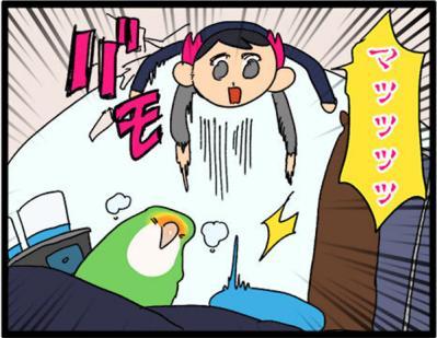 【鳥マンガ＃16】女帝インコが甘えてきた！？ かわいいけど厄介な鳥の抜けた羽問題（サムネイル画像4）