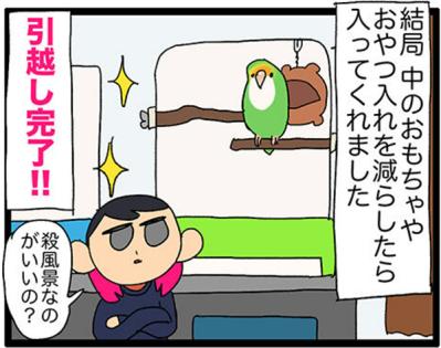 【鳥マンガ＃17】インコが新居に不満な理由／放鳥がもたらした悲劇とは？（サムネイル画像7）
