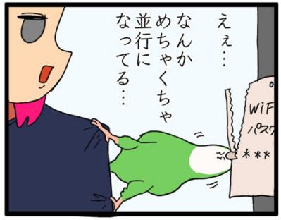 【鳥マンガ＃14】床に対して平行になるインコ／お返事ができる賢いゴルちゃん！（サムネイル画像7）