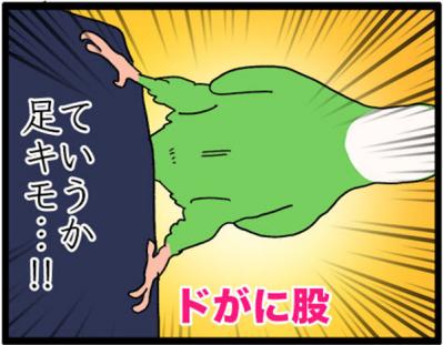 【鳥マンガ＃14】床に対して平行になるインコ／お返事ができる賢いゴルちゃん！（サムネイル画像8）