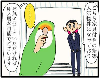 【鳥マンガ＃17】インコが新居に不満な理由／放鳥がもたらした悲劇とは？（サムネイル画像5）