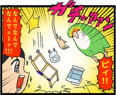【鳥マンガ＃17】インコが新居に不満な理由／放鳥がもたらした悲劇とは？（サムネイル画像6）