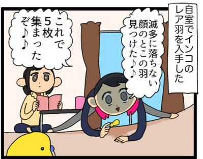 【鳥マンガ＃16】女帝インコが甘えてきた！？ かわいいけど厄介な鳥の抜けた羽問題（サムネイル画像8）