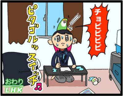 【鳥マンガ＃17】インコが新居に不満な理由／放鳥がもたらした悲劇とは？（サムネイル画像13）