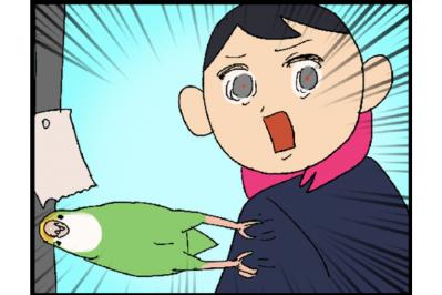 【鳥マンガ＃14】床に対して平行になるインコ／お返事ができる賢いゴルちゃん！