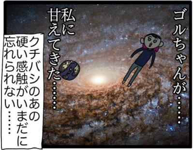 【鳥マンガ＃16】女帝インコが甘えてきた！？ かわいいけど厄介な鳥の抜けた羽問題（サムネイル画像7）