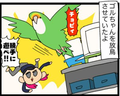 【鳥マンガ＃17】インコが新居に不満な理由／放鳥がもたらした悲劇とは？（サムネイル画像8）