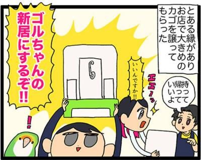 【鳥マンガ＃17】インコが新居に不満な理由／放鳥がもたらした悲劇とは？（サムネイル画像3）