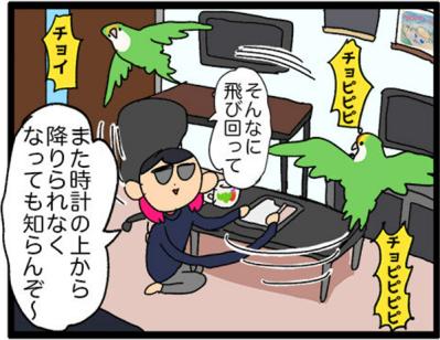 【鳥マンガ＃17】インコが新居に不満な理由／放鳥がもたらした悲劇とは？（サムネイル画像9）