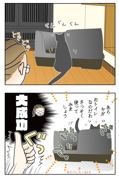 【マンガ・老猫日誌 ＃15】老猫のトイレ事情その3…19歳の元保護猫・桃姐（サムネイル画像4）