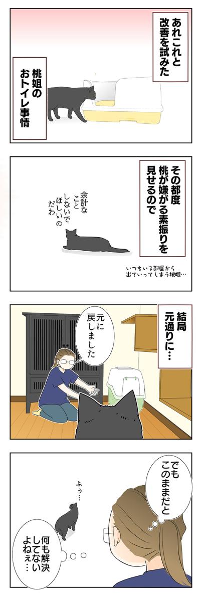 【マンガ・老猫日誌 ＃15】老猫のトイレ事情その3…19歳の元保護猫・桃姐（サムネイル画像2）