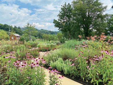 春の花旅【ローズガーデン】3選。咲き誇るバラを満喫できるプラン（サムネイル画像9）