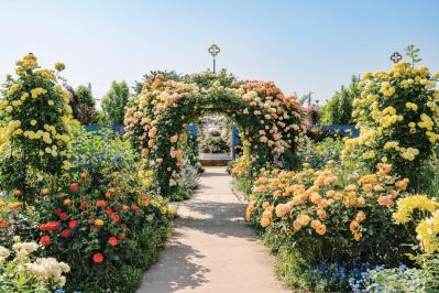 春の花旅【ローズガーデン】3選。咲き誇るバラを満喫できるプラン（サムネイル画像7）