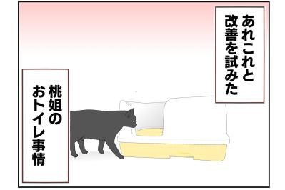 【老猫マンガ】老猫のトイレ事情その3…18歳の元保護猫・桃姐［＃15］