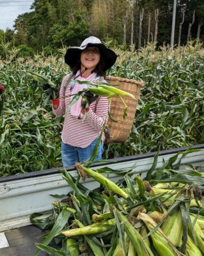 普通のパート主婦がなぜ！？50代後半で野菜の委託販売を始めるまでの道のりとは？【50代の仕事始め＃2前編】（サムネイル画像4）