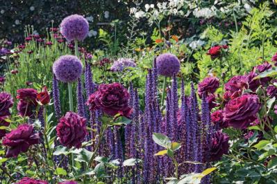 春の花旅【ローズガーデン】3選。咲き誇るバラを満喫できるプラン（サムネイル画像8）