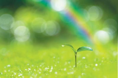 「経済的に恵まれている人や夫婦仲のいい人を見ると、落ち込みます…」周りと比べずに生きるコツは？ 人気心理カウンセラー・根本裕幸さんが回答（サムネイル画像4）