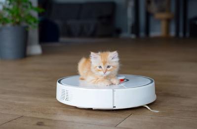 1位は…「軽くて片手で使えて最高！」買って良かった【掃除機ランキング】50代以上女性100名の本音