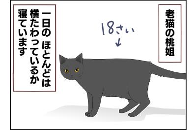 【老猫マンガ】ウロウロ動き回る老猫…18歳の元保護猫・桃姐［＃16］