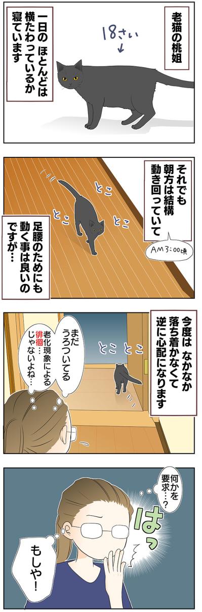 【老猫マンガ】ウロウロ動き回る老猫…18歳の元保護猫・桃姐［＃16］（サムネイル画像2）