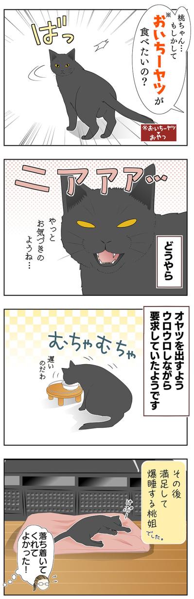 【老猫マンガ】ウロウロ動き回る老猫…18歳の元保護猫・桃姐［＃16］（サムネイル画像3）