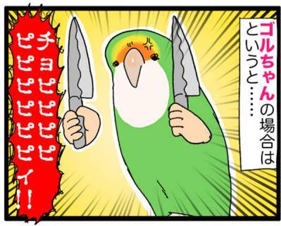 【鳥マンガ＃18】飼い主に一途すぎるインコの困りごと／ゴルちゃんの盗撮に成功！そのときの姿勢がすごい（サムネイル画像6）