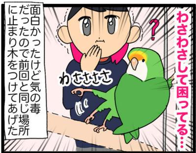 【鳥マンガ＃20】止まり木の配置を変えたときのインコがかわいい／鳥飼いさんのささやかな幸せ（サムネイル画像7）