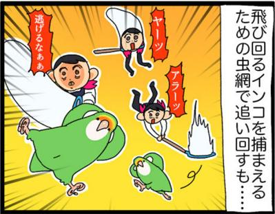 【鳥マンガ＃19】凶暴なゴルちゃんを一瞬で無力化した店長のワザが見事だった！（サムネイル画像8）