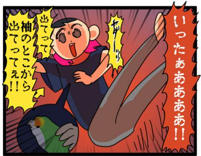 【鳥マンガ＃21】洋服の中に入るかわいいゴルちゃんの顛末／ペットを飼うとやたら不安になること（サムネイル画像5）