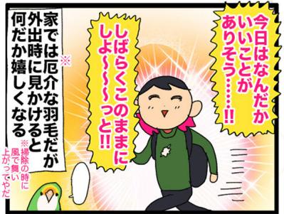 【鳥マンガ＃20】止まり木の配置を変えたときのインコがかわいい／鳥飼いさんのささやかな幸せ（サムネイル画像11）