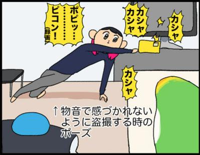 【鳥マンガ＃18】飼い主に一途すぎるインコの困りごと／ゴルちゃんの盗撮に成功！そのときの姿勢がすごい（サムネイル画像14）