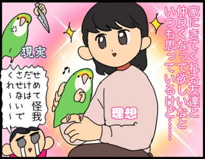 【鳥マンガ＃18】飼い主に一途すぎるインコの困りごと／ゴルちゃんの盗撮に成功！そのときの姿勢がすごい（サムネイル画像9）