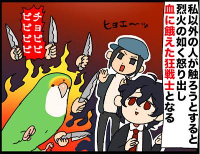 【鳥マンガ＃18】飼い主に一途すぎるインコの困りごと／ゴルちゃんの盗撮に成功！そのときの姿勢がすごい（サムネイル画像7）