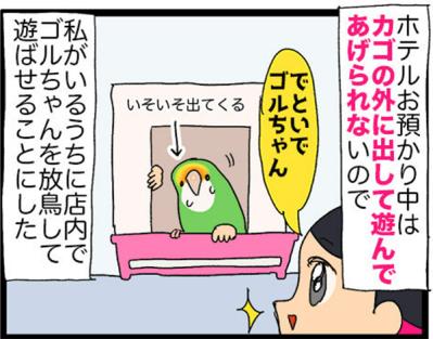 【鳥マンガ＃19】凶暴なゴルちゃんを一瞬で無力化した店長のワザが見事だった！（サムネイル画像6）