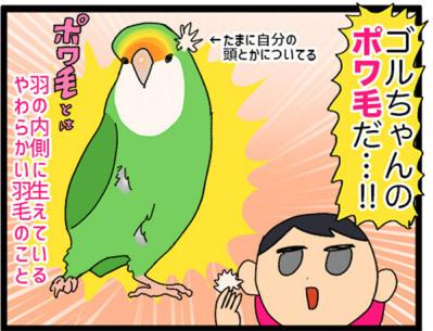 【鳥マンガ＃20】止まり木の配置を変えたときのインコがかわいい／鳥飼いさんのささやかな幸せ（サムネイル画像10）