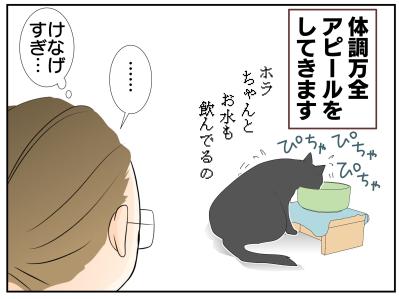 【老猫マンガ】老猫、アピールする？ 18歳の元保護猫・桃姐［＃18］（サムネイル画像4）