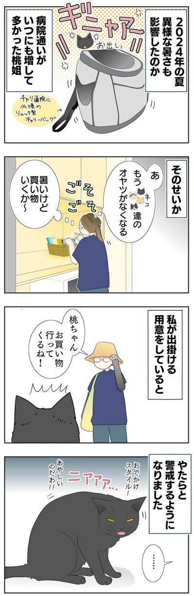 【老猫マンガ】老猫、安全を確保する？ 18歳の元保護猫・桃姐［＃17］（サムネイル画像2）