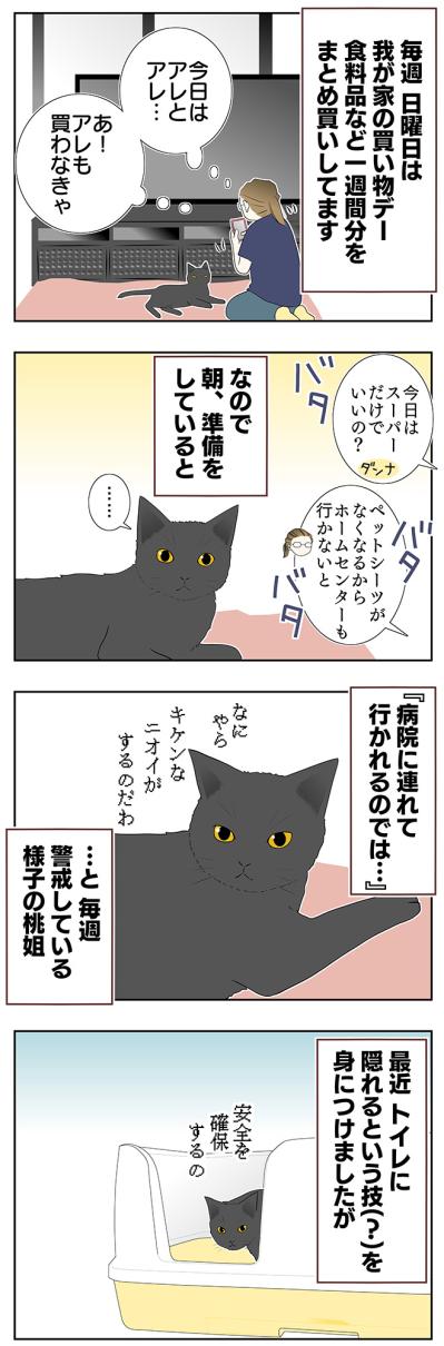 【老猫マンガ】老猫、アピールする？ 18歳の元保護猫・桃姐［＃18］（サムネイル画像2）