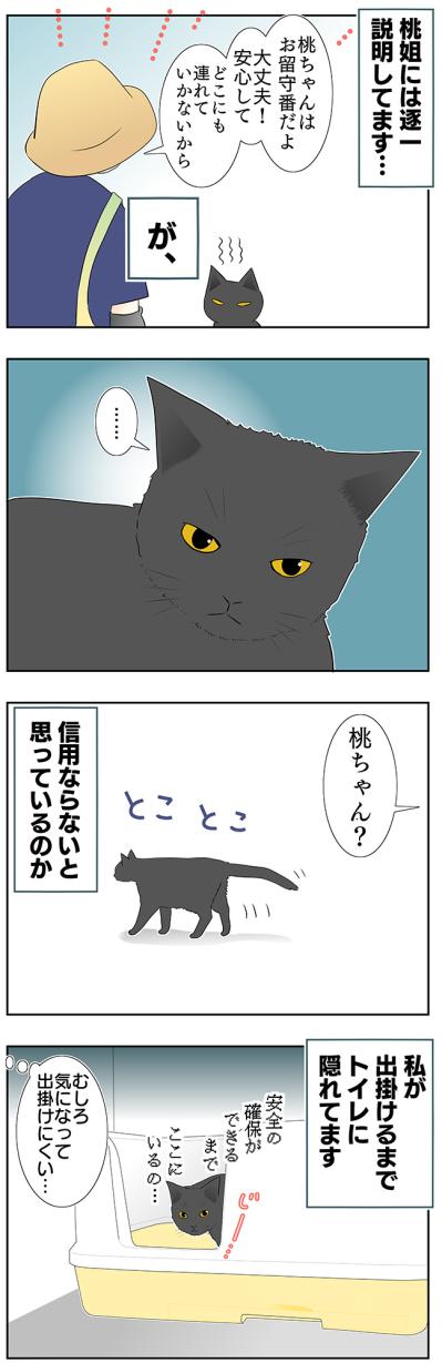 【老猫マンガ】老猫、安全を確保する？ 18歳の元保護猫・桃姐［＃17］（サムネイル画像3）