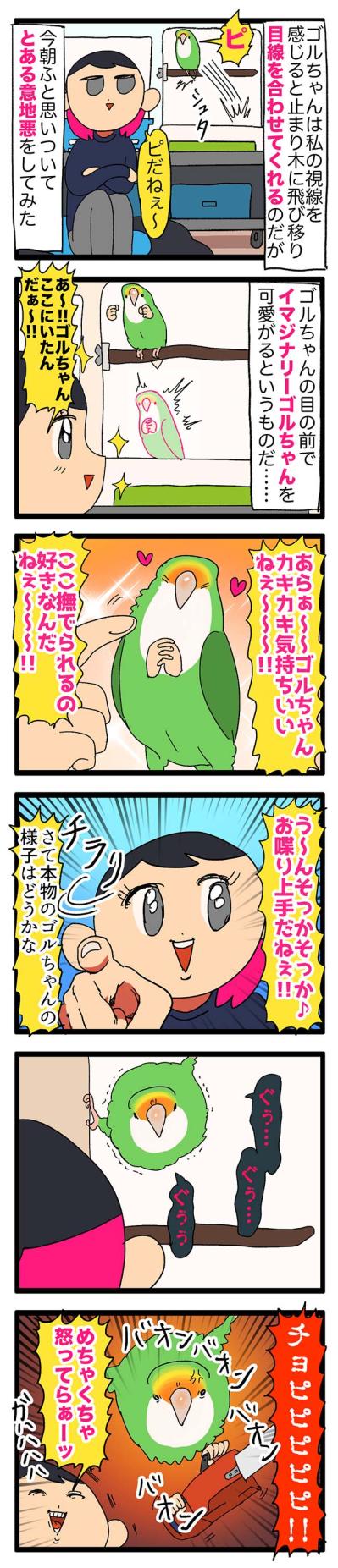 【鳥マンガ＃25】インコの逆ギレ…被害者は誰？／ゴルちゃんの「私の目を見て！」（サムネイル画像4）