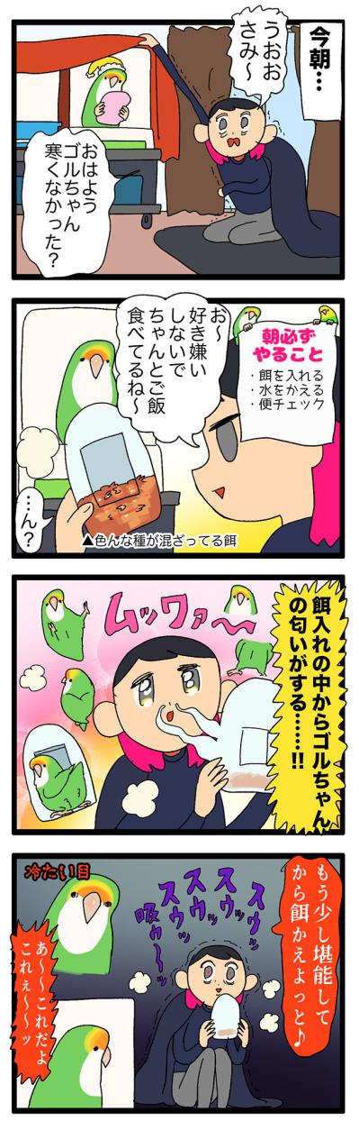 【鳥マンガ＃24】ふとしたときに感じる、幸せの香りインコ臭！／寝坊してごめんね、ゴルちゃん（サムネイル画像3）