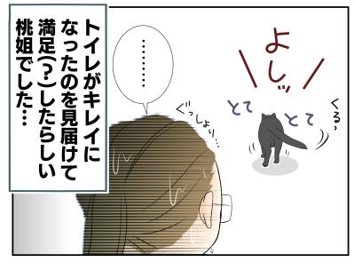 【老猫マンガ】老猫、異様なまでに急かす…18歳の元保護猫・桃姐［＃19］（サムネイル画像5）