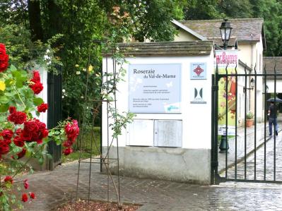 【ガーデニング】バラの本場イギリスとフランスのローズガーデンから、デザインとアイデアをいただく！（サムネイル画像5）