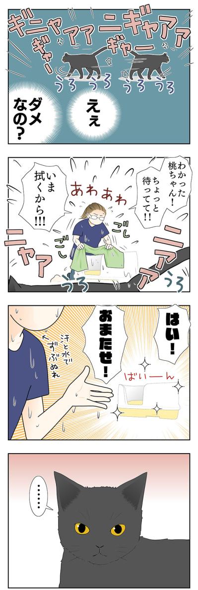 【老猫マンガ】老猫、異様なまでに急かす…18歳の元保護猫・桃姐［＃19］（サムネイル画像4）