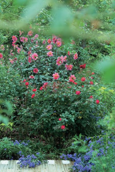 【大人のひとり旅・熱海編】日帰りでもリフレッシュできるのんびり電車旅（サムネイル画像5）