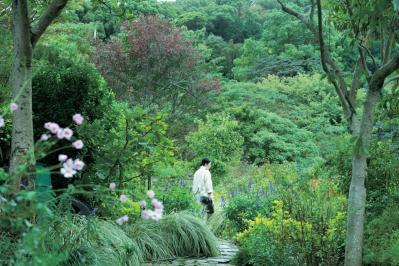 【大人のひとり旅・熱海編】日帰りでもリフレッシュできるのんびり電車旅